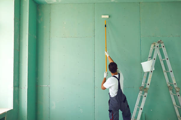 Best Post-Remediation Verification Testing  in Rolla, ND