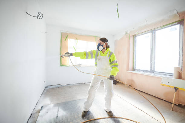 Best Mold Damage Restoration  in Rolla, ND