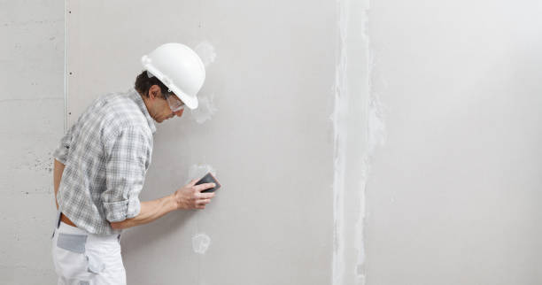 Best Mold Remediation for Healthcare Facilities  in Rolla, ND