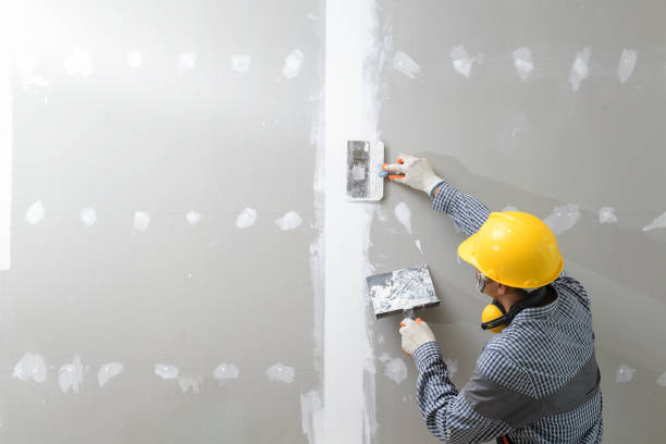 Best Water Damage & Mold Remediation  in Rolla, ND