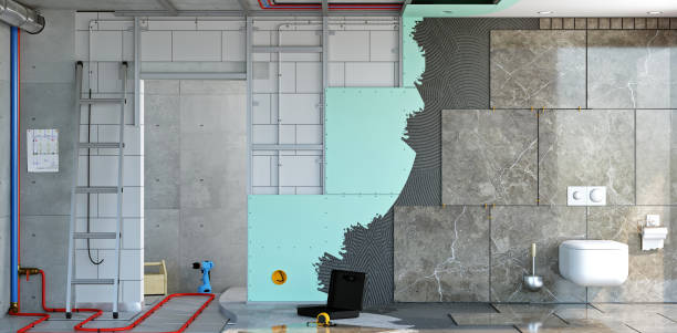 Best Mold Odor Removal Services  in Rolla, ND