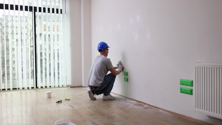 Best Black Mold Removal  in Rolla, ND