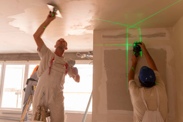 Best Environmental Consulting for Mold Prevention  in Rolla, ND