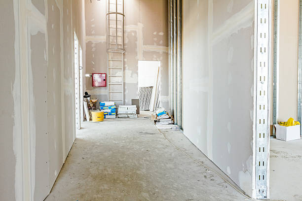 Best Comprehensive Air Testing for Mold Contaminants  in Rolla, ND